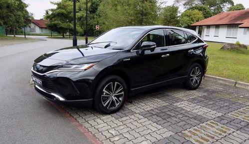 91p国产,揭秘神秘东方古国的历史与文化